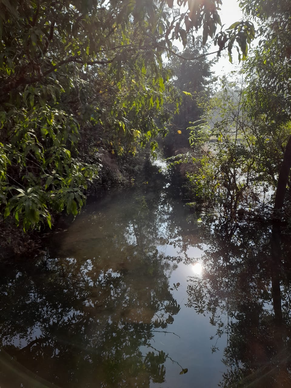 विकासकाम 7